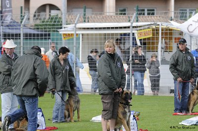 Remise des Prix 072.JPG - CHIENPLUS.COM
